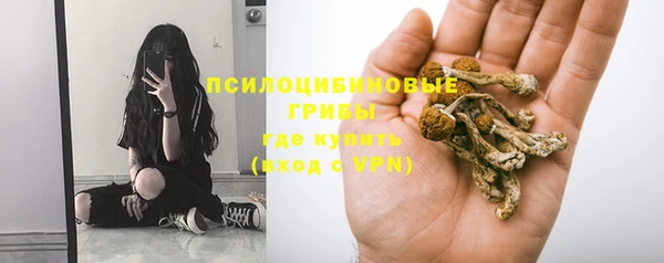 стаф Абинск