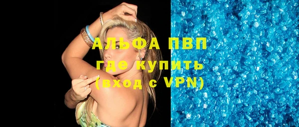 стаф Абинск