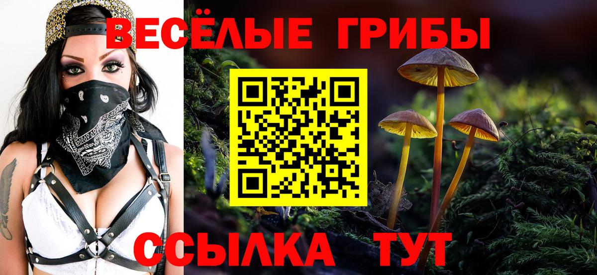 Стерлитамак  Галлюциногенные грибы Cubensis  Вход с VPN 