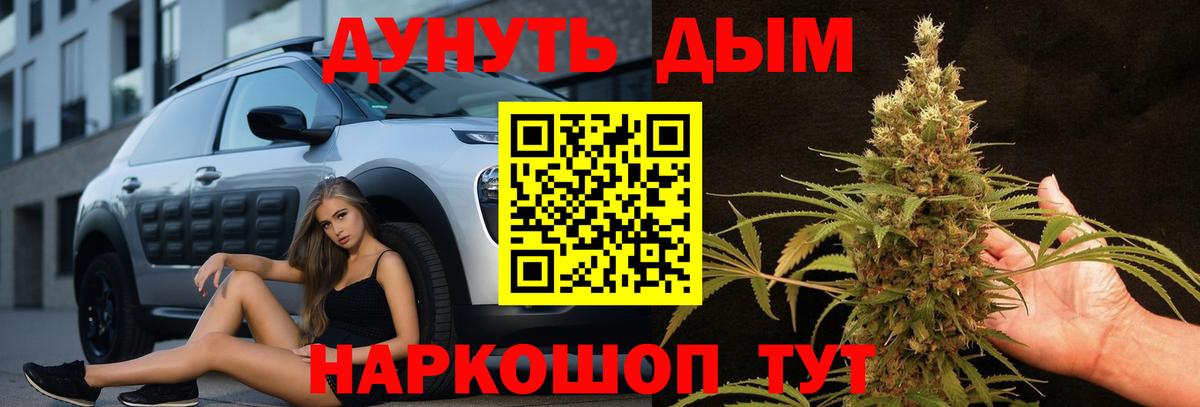 Марихуана сатива Стерлитамак